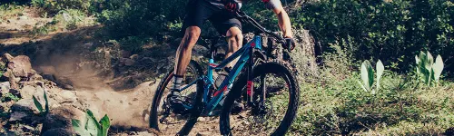 FlexPoint Suspension Technology避震科技